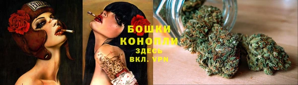 скорость Алзамай