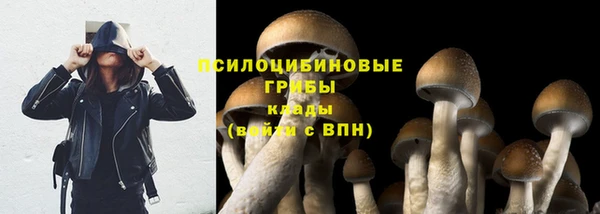 скорость Заводоуковск