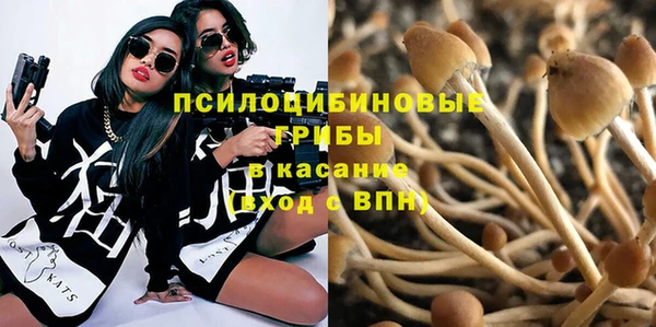 скорость Алзамай