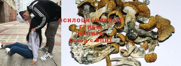 скорость Алзамай